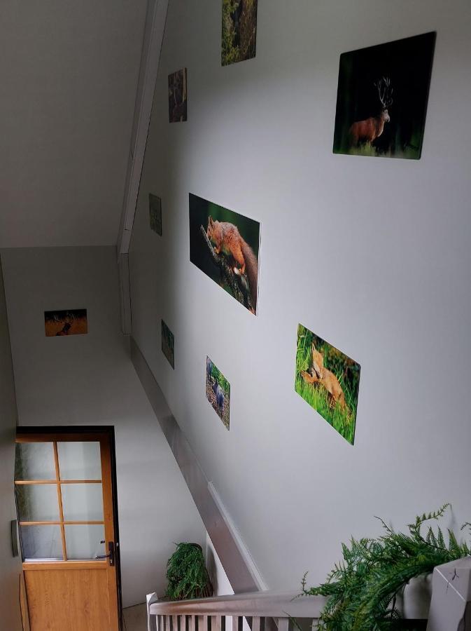 O Baguenaudes Daire Jalhay Dış mekan fotoğraf